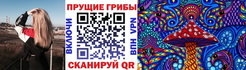 Псилоцибиновые грибы ЛСД  Купить закладки  Кунгур 